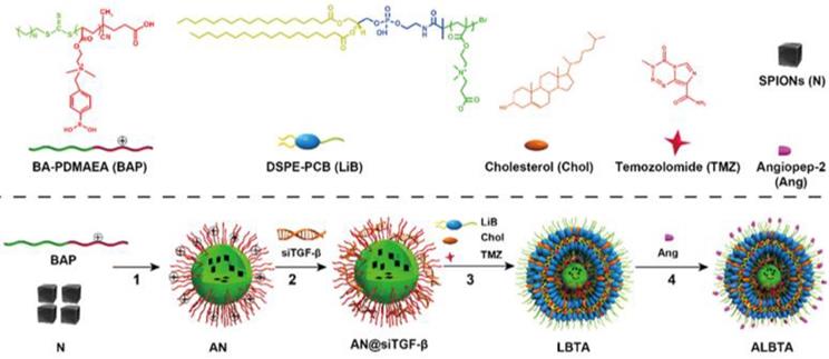 Combined-therapeutic strategies synergistically potentiate glioblastoma ...