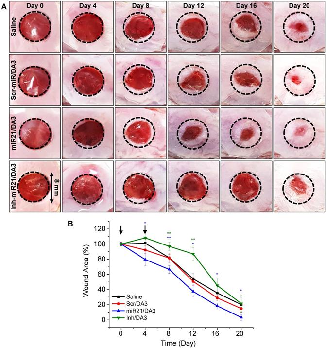 Theranostics Image