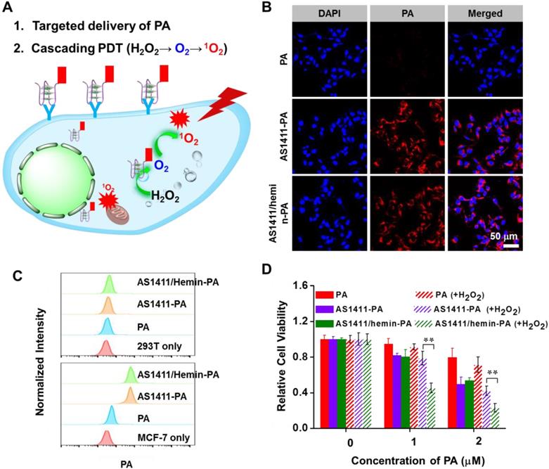 Theranostics Image