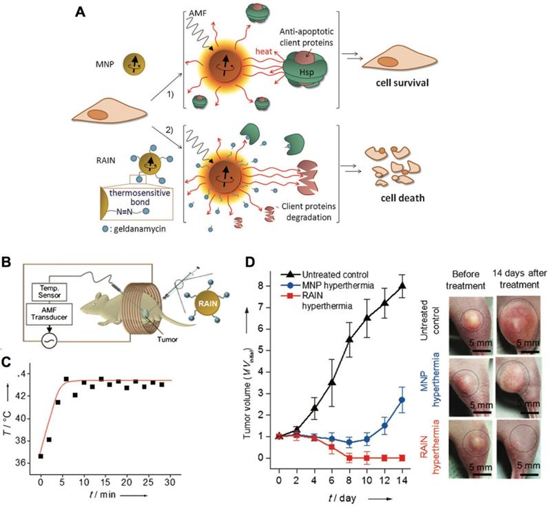 Theranostics Image