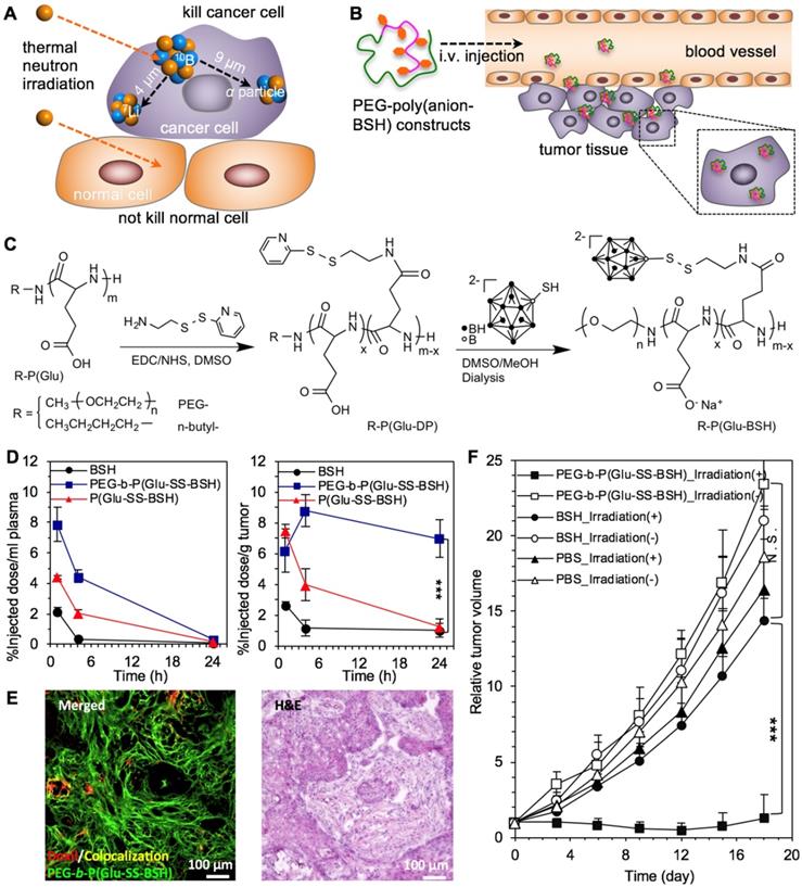 Theranostics Image