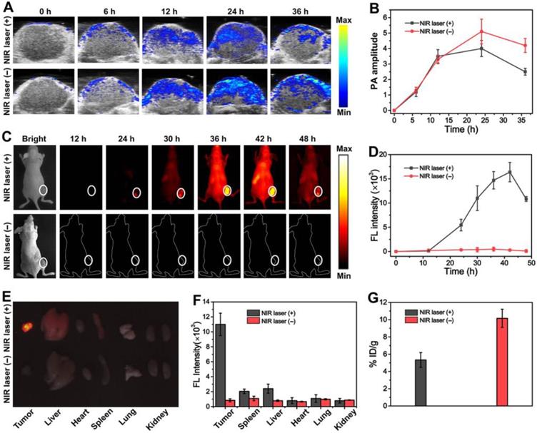 Theranostics Image