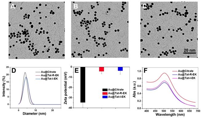 Theranostics Image