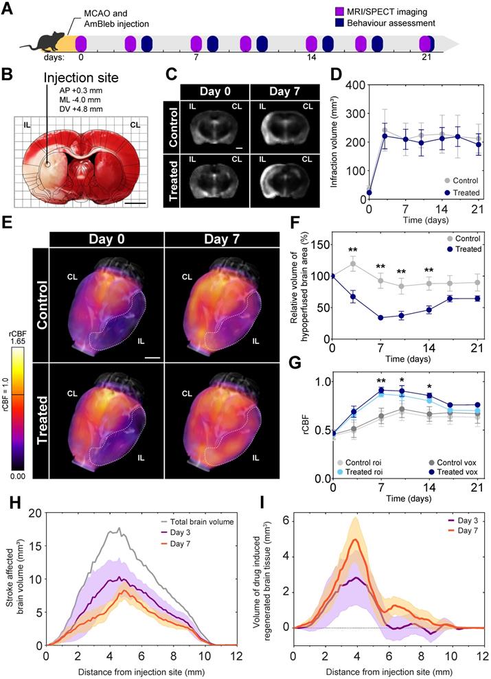 Theranostics Image