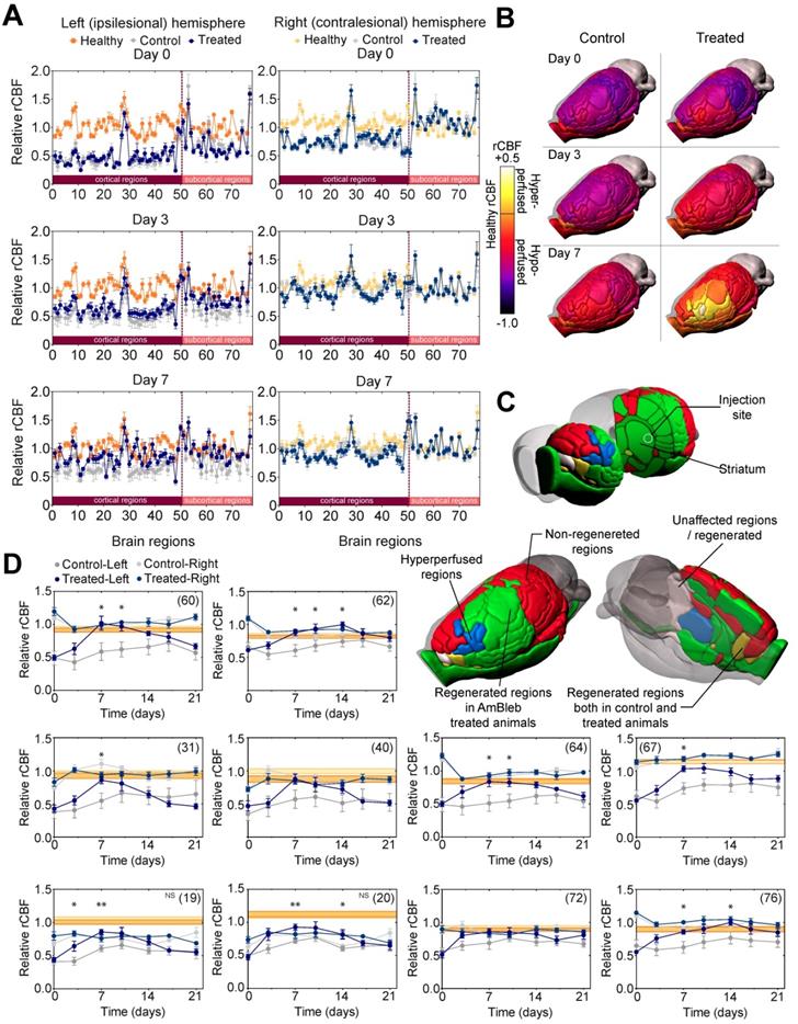 Theranostics Image