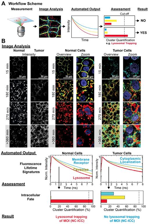 Theranostics Image