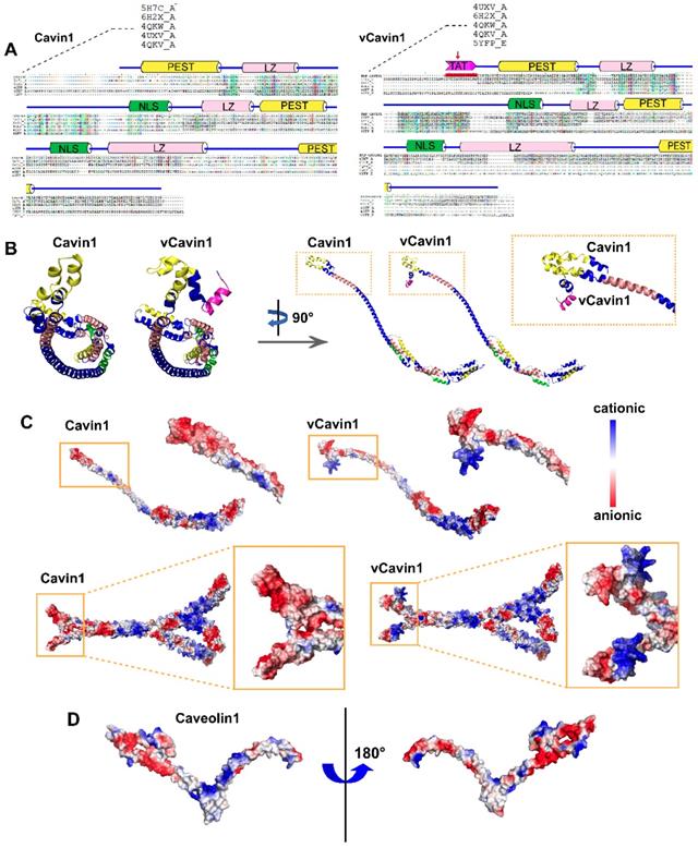 Theranostics Image