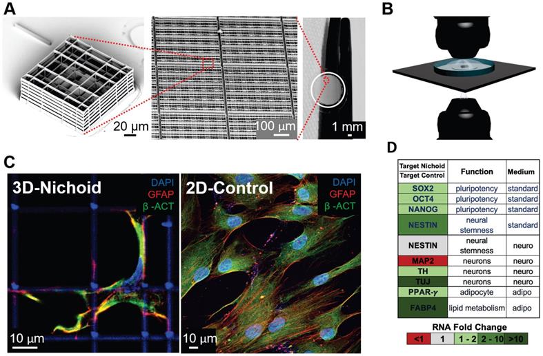 Theranostics Image