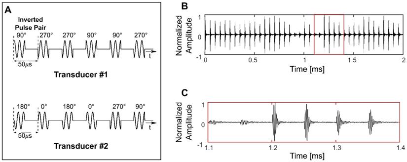 Theranostics Image