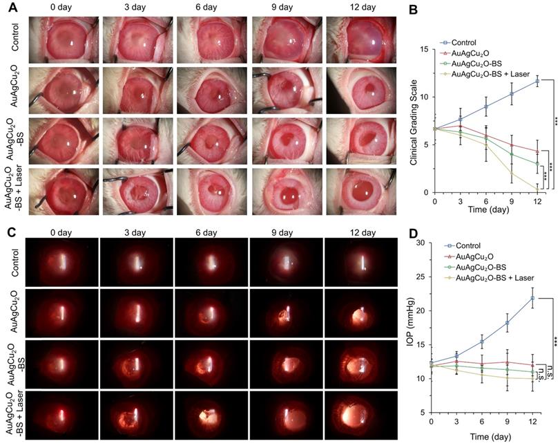 Theranostics Image