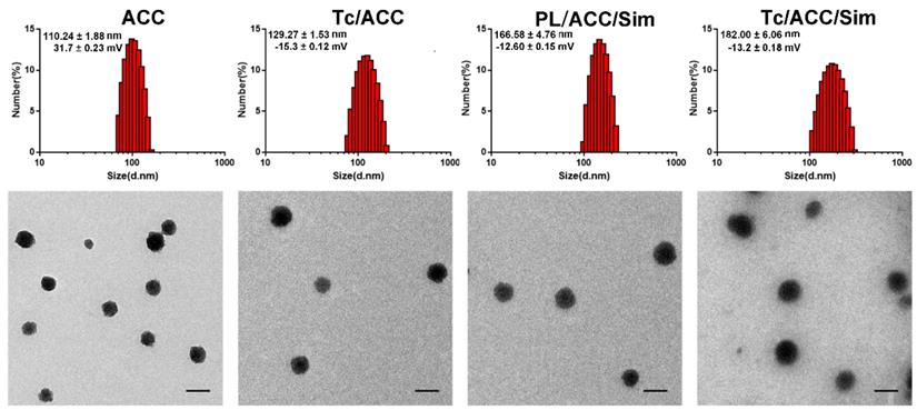 Theranostics Image