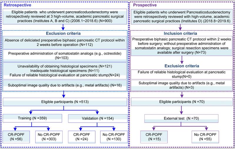 Theranostics Image