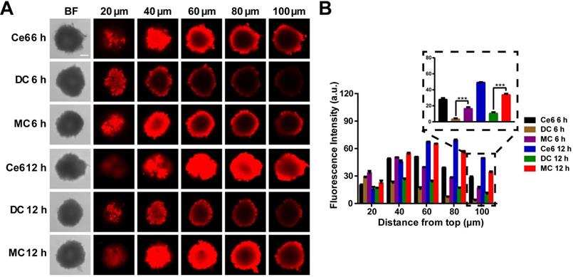 Theranostics Image