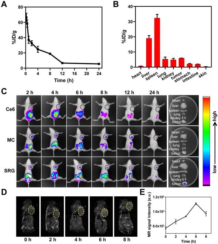 Theranostics Image