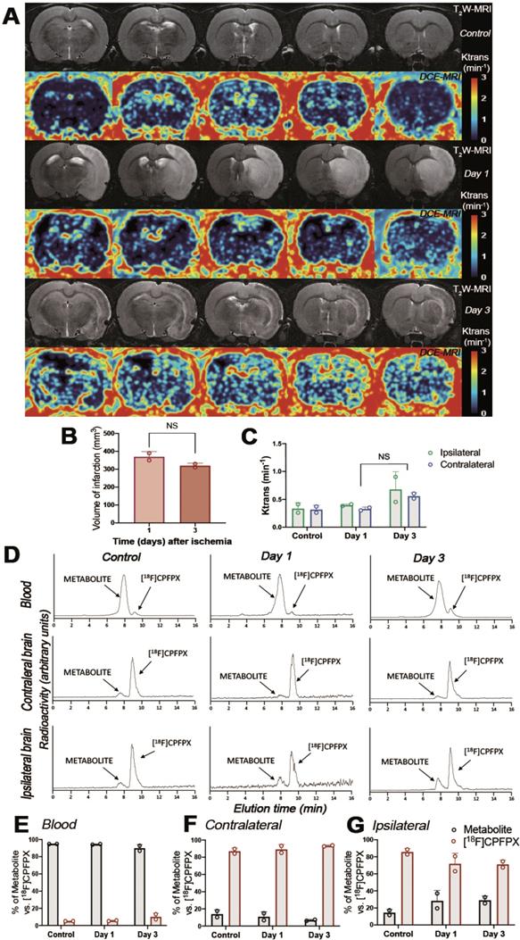 Theranostics Image