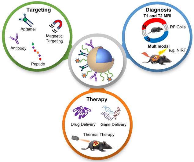 Theranostics Image