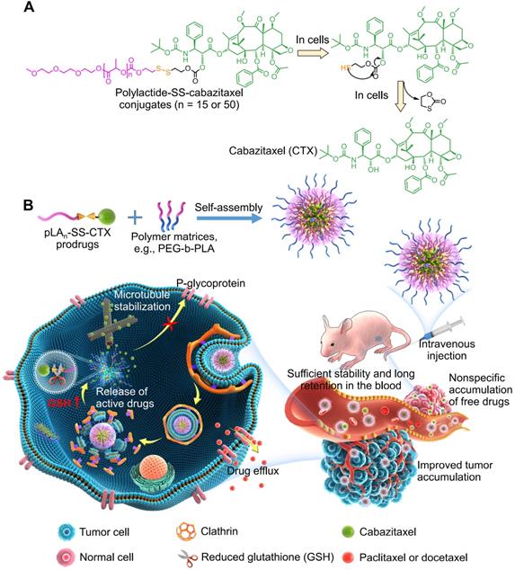 Balancing the stability and drug activation in adaptive nanoparticles ...