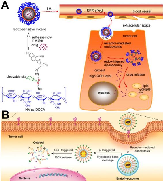 Recent progress in nanomedicine for enhanced cancer chemotherapy