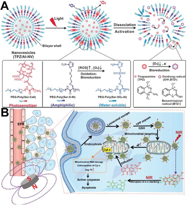 Recent progress in nanomedicine for enhanced cancer chemotherapy