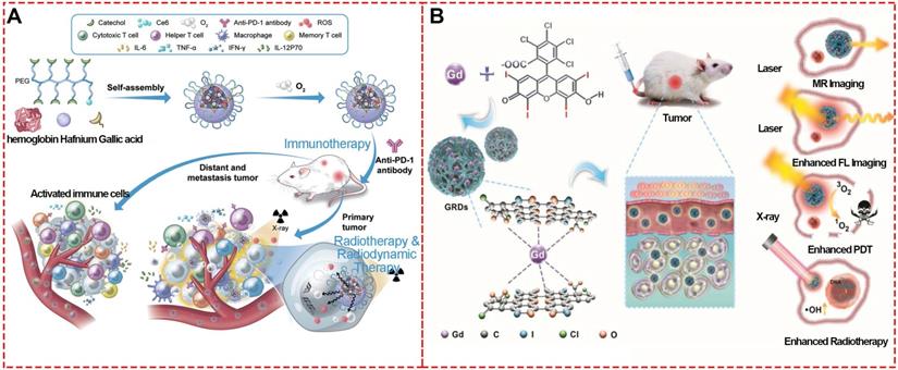 Theranostics Image