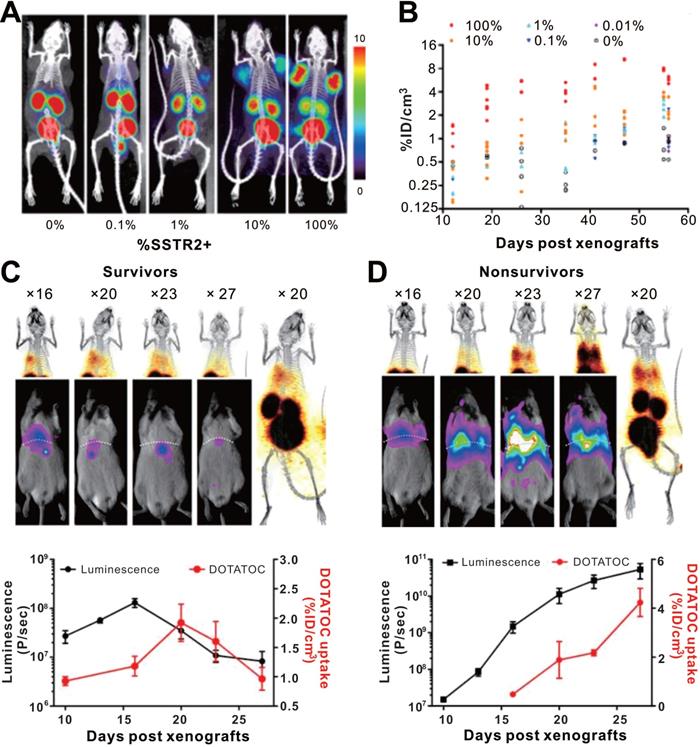 Theranostics Image