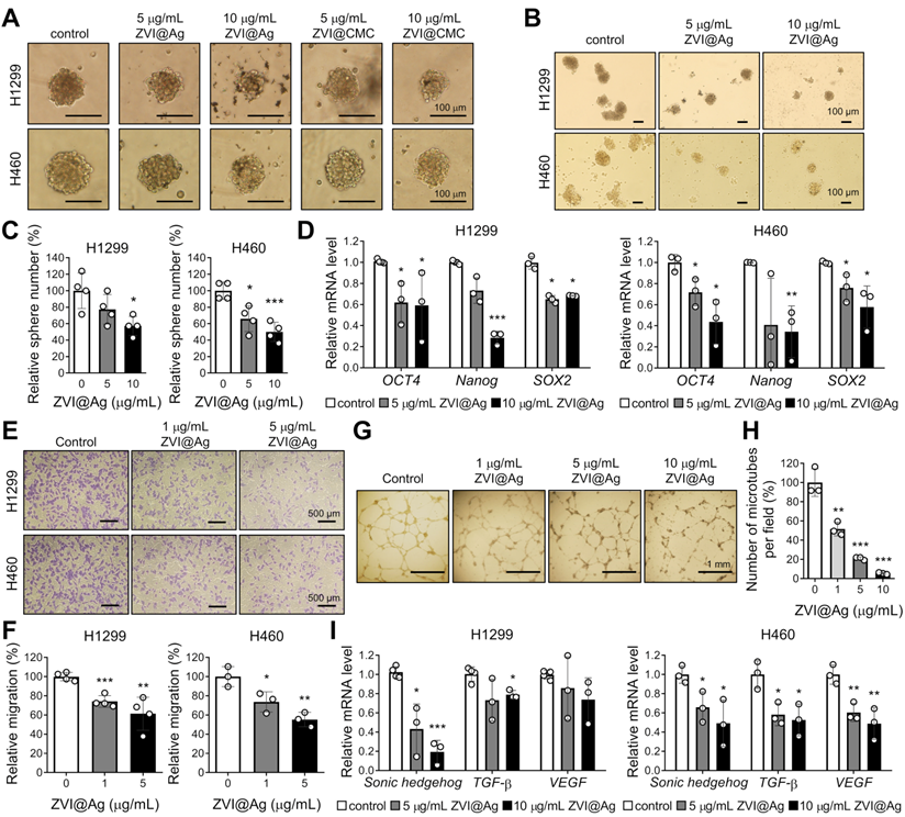 An innovative NRF2 nano-modulator induces lung cancer ferroptosis and