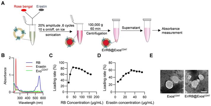 Theranostics Image
