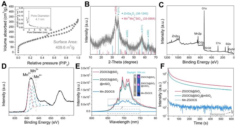 Theranostics Image