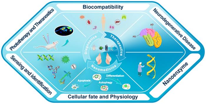 Theranostics Image