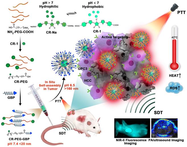 Theranostics Image