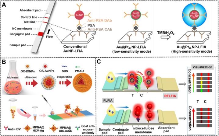 Theranostics Image