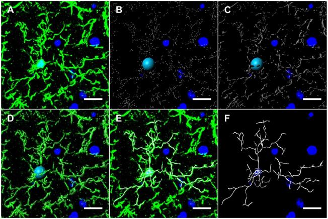 Theranostics Image