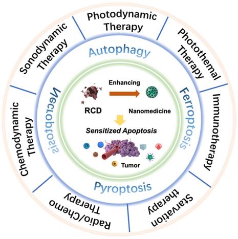 Theranostics Image