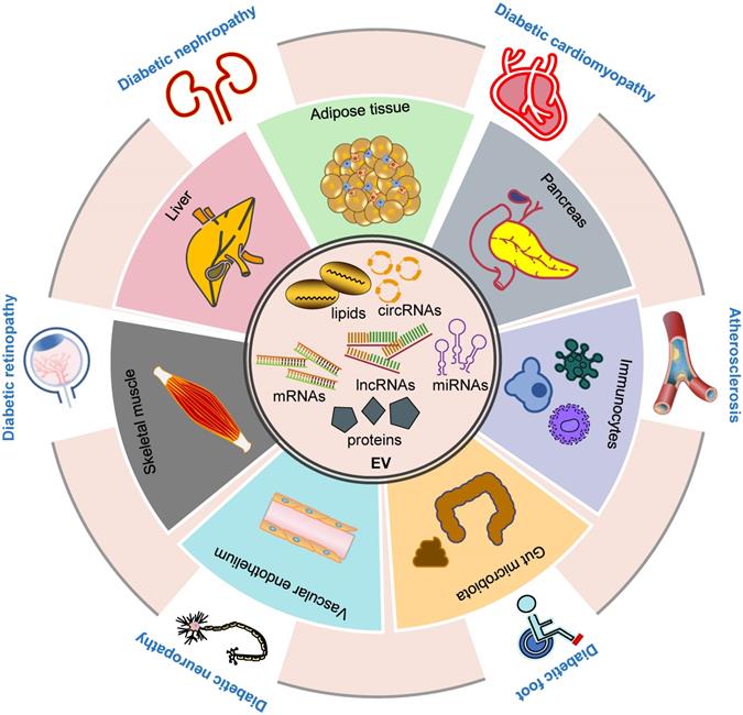 Theranostics Image