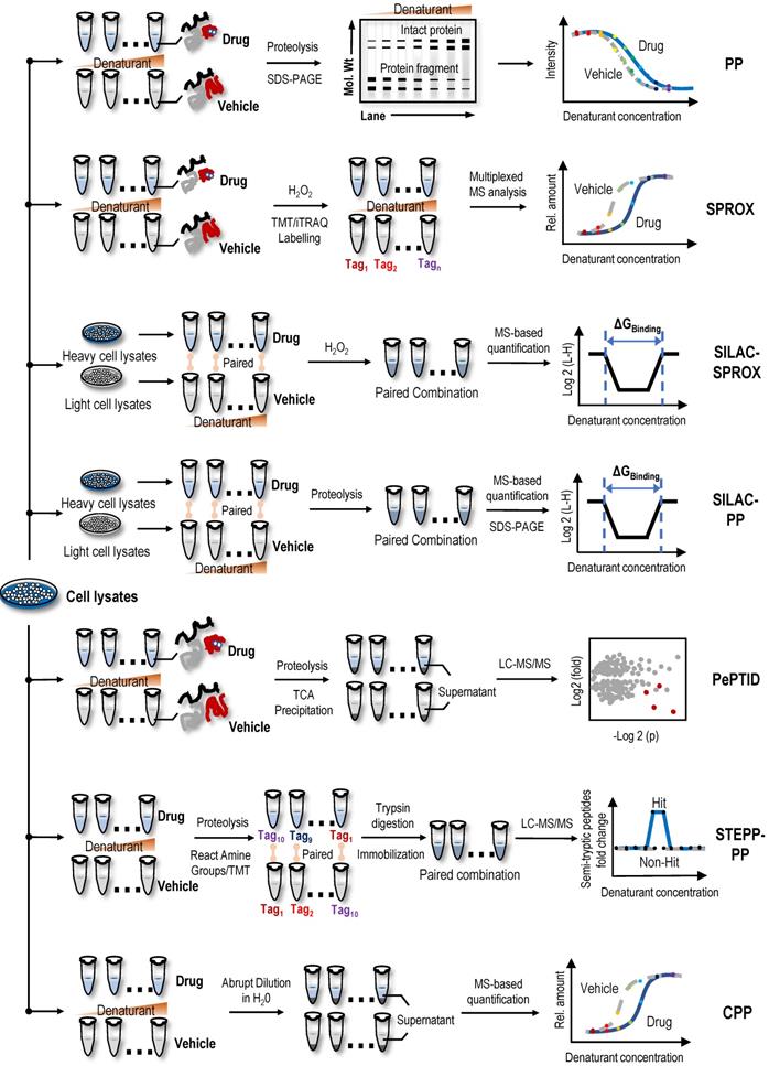 Solvent-Induced Protein Precipitation for Drug Target Discovery on the  Proteomic Scale
