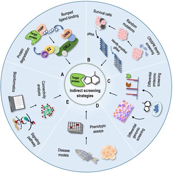 An update of label-free protein target identification methods for ...