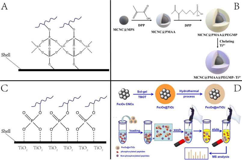 Theranostics Image