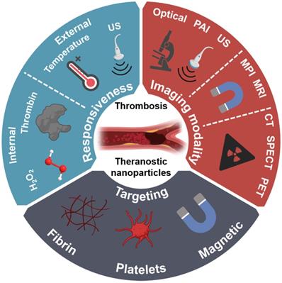 Theranostics Image