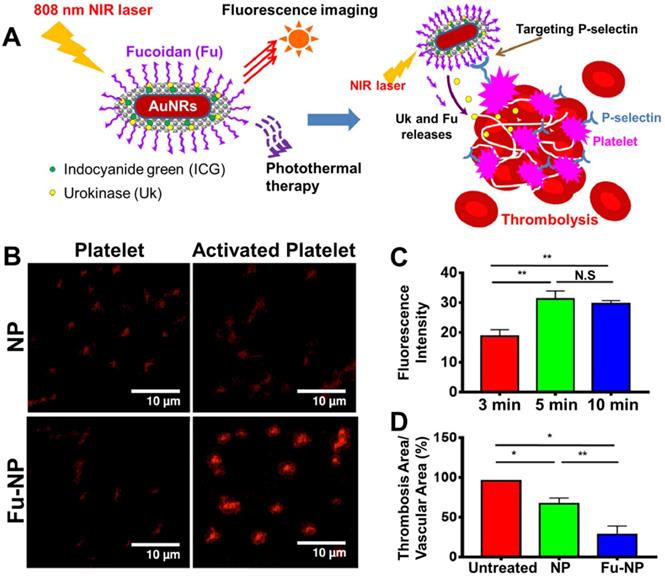 Theranostics Image