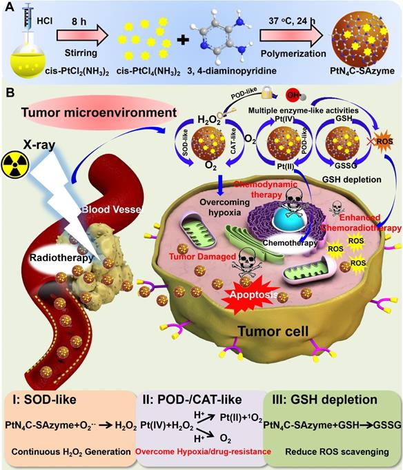 Tumor Microenvironment Activated Single Atom Platinum Nanozyme With H2o2 Self Supplement And O2