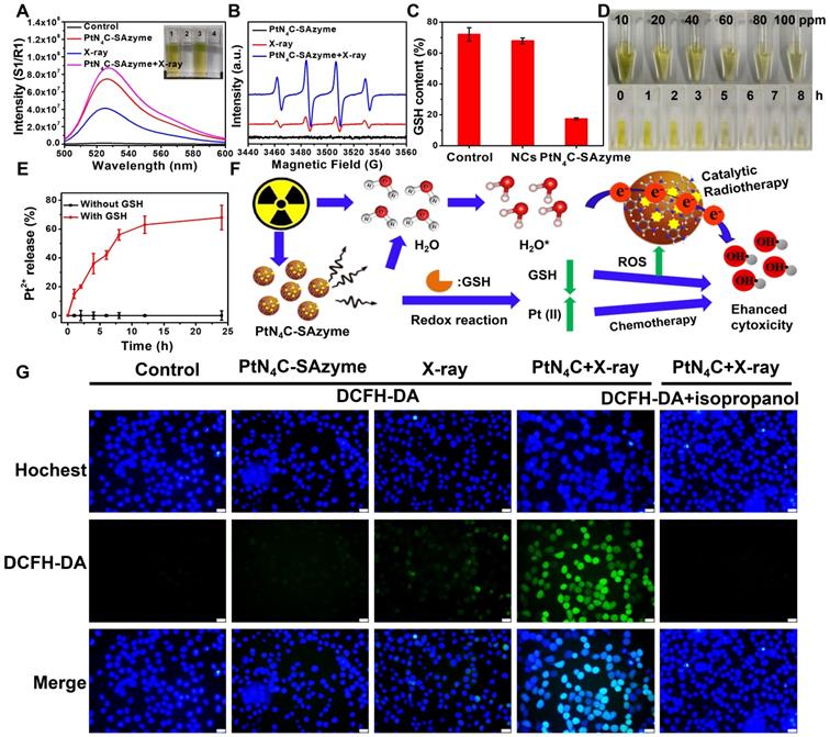 Tumor Microenvironment Activated Single Atom Platinum Nanozyme With H2o2 Self Supplement And O2