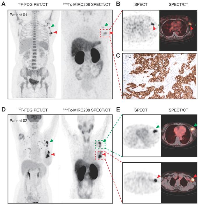 Theranostics Image