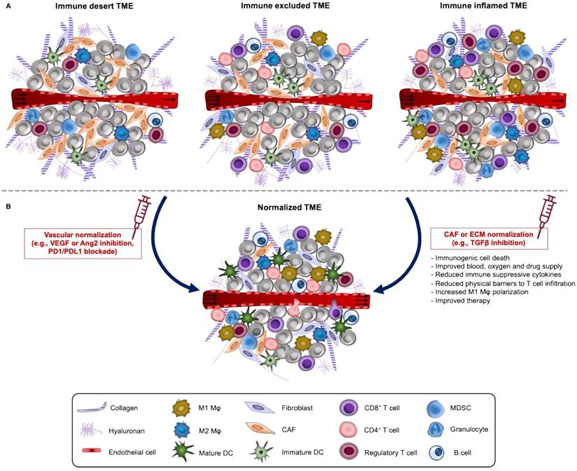 Theranostics Image