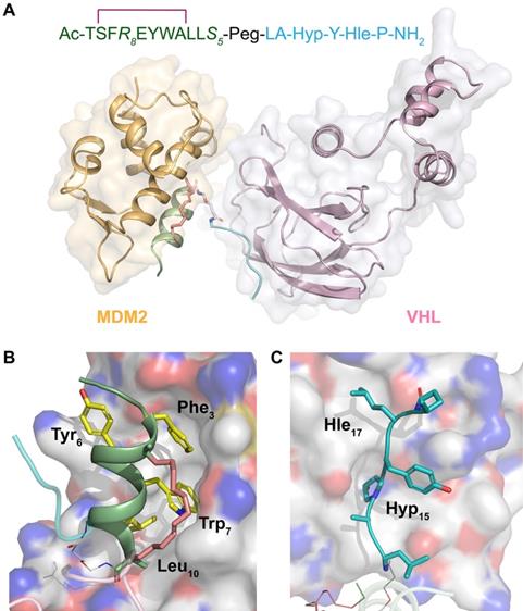 Theranostics Image