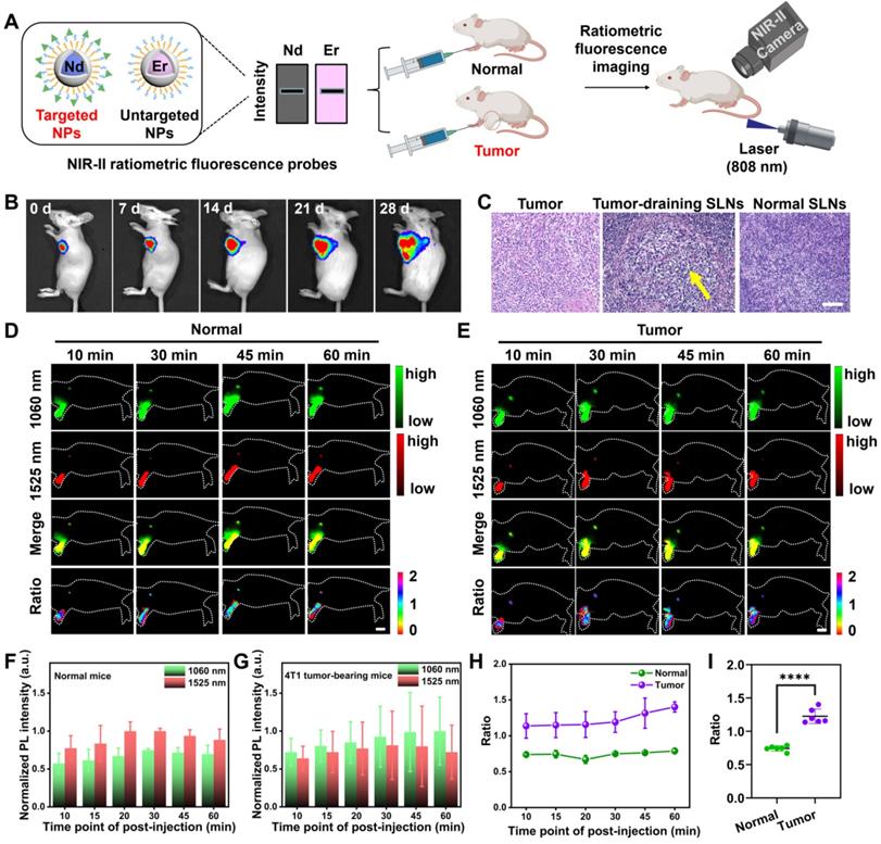 Theranostics Image