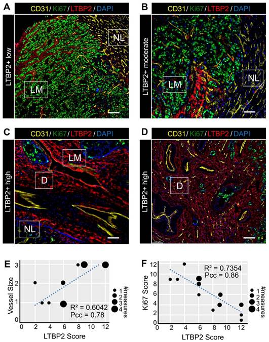 Theranostics Image