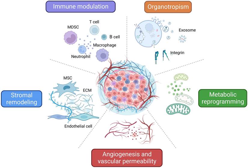 Theranostics Image