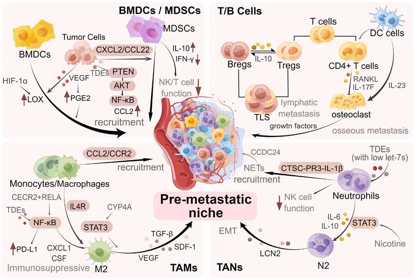 Theranostics Image