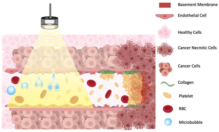 Theranostics Image