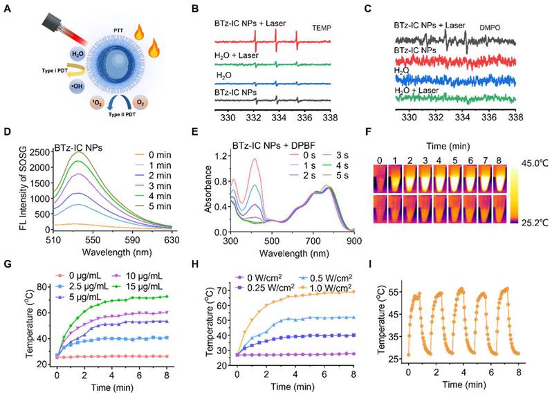 Theranostics Image